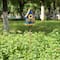 Glitzhome® 52.5" Blue Metal Sunflower Decorative Garden Birdhouse with Stake